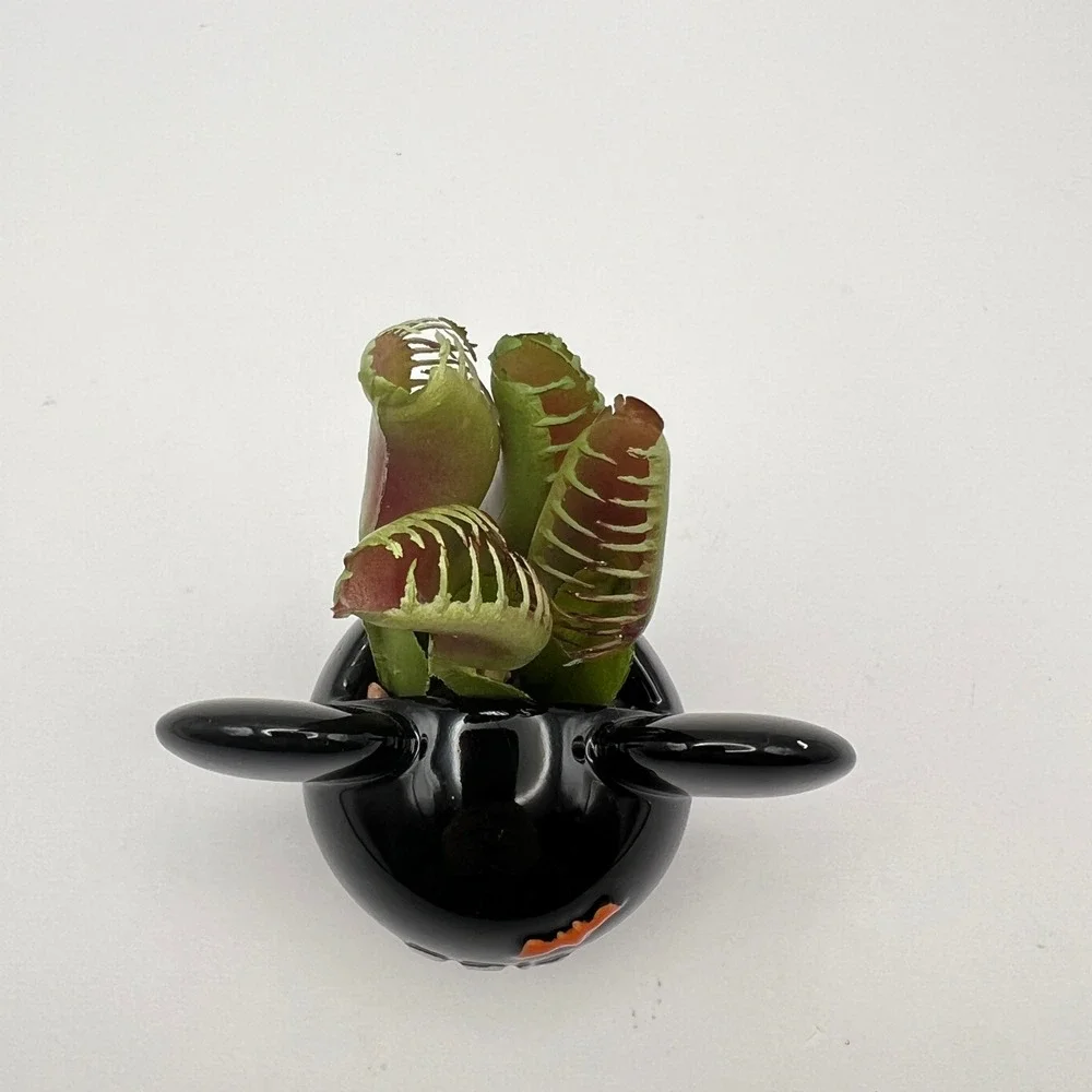 Disney Mickey Mouse Halloween Ceramic Planter Faux Venus Flytrap EEK Bats Black